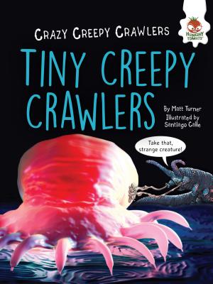 Tiny Creepy Crawlers (Crazy Creepy Crawlers) By Matt Turner, Santiago Calle (Illustrator) Cover Image