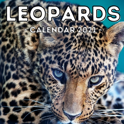 Leopards Calendar 2021: 16-Month Calendar, Cute Gift Idea For Leopard Lovers Women & Men