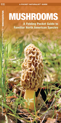 Mushrooms: An Introduction to Familiar North American Species (Pocket Naturalist Guide) Cover Image