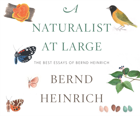 A Naturalist at Large: The Best Essays of Bernd Heinrich