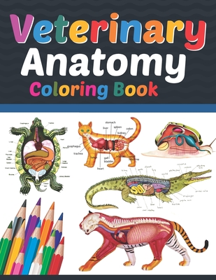 Veterinary Anatomy Coloring Book: Veterinary Anatomy Coloring and Activity  Book for Boys & Girls. Veterinary Anatomy Self Test Guide for students. Ani  (Paperback) | Books and Crannies