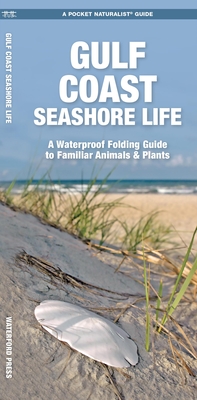 Gulf Coast Seashore Life: A Waterproof Folding Guide to Familiar Animals & Plants By Waterford Press, Raymond Leung (Illustrator) Cover Image