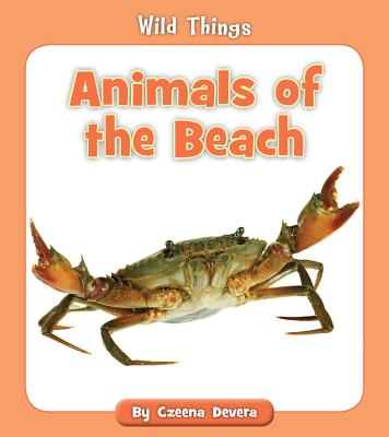 Animals of the Beach (Wild Things)
