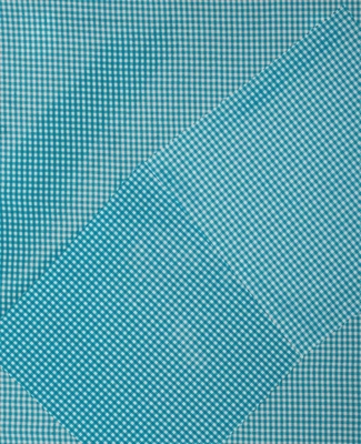 Cheryl Donegan: Grlz + Veils