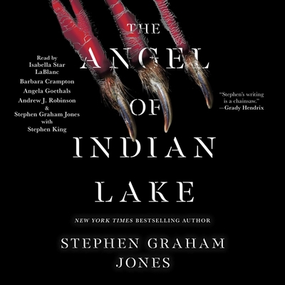 The Angel of Indian Lake Cover Image
