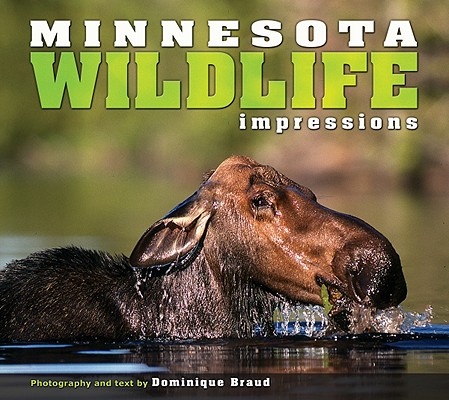 Minnesota Wildlife Impressions (Impressions (Farcountry Press)) By Dominique Braud (Photographer) Cover Image