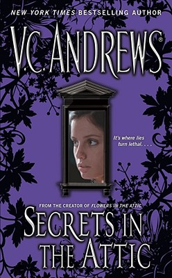 Secrets in the Attic (The Secrets Series)