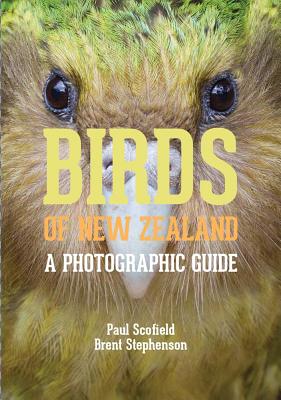 Birds of New Zealand: A Photographic Guide Cover Image