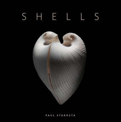 Shells By Paolo Portoghesi, Paul Starosta (By (photographer)) Cover Image