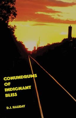 Cover for Conundrums of Indignant Bliss