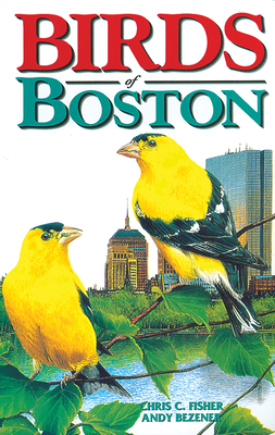 Birds of Boston (City Bird Guides) Cover Image