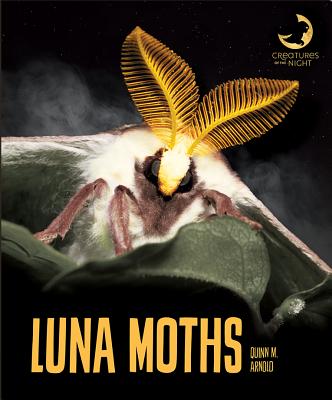 Luna Moths (Creatures of the Night)