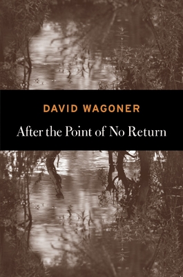 Cover for After the Point of No Return