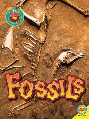 Fossils (Focus on Earth Science) Cover Image