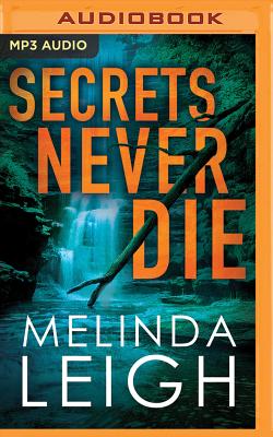 Cover for Secrets Never Die (Morgan Dane #5)