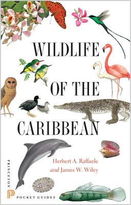 Wildlife of the Caribbean (Princeton Pocket Guides) By Herbert A. Raffaele, James Wiley Cover Image