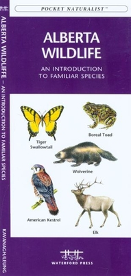 Ontario Birds: A Folding Pocket Guide to Familiar Species (Pocket Naturalist Guide) Cover Image