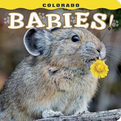 Colorado Babies! (Babies! (Farcountry Press))