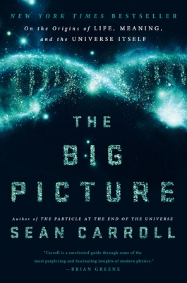 Cover for The Big Picture
