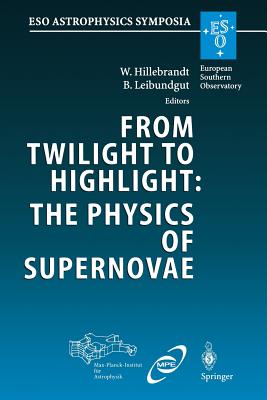 From Twilight to Highlight: The Physics of Supernovae: Proceedings
