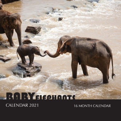 Baby Elephants Calendar 2021: 16 Month Calendar