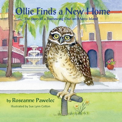 Ollie Finds a New Home, The Story of a Burrowing Owl on Marco Island Cover Image