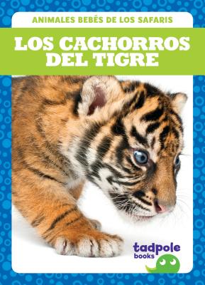 Los Cachorros del Tigre = Tiger Cubs By Genevieve Nilsen Cover Image
