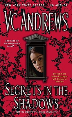 Secrets in the Shadows (The Secrets Series)