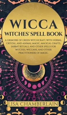 The Spell Book for New Witches - by Ambrosia Hawthorn (Paperback)