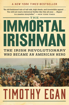 The Immortal Irishman: The Irish Revolutionary Who Became an American Hero cover