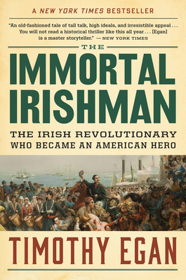 Cover for The Immortal Irishman: The Irish Revolutionary Who Became an American Hero