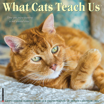 What Cats Teach Us 2024 12 X 12 Wall Calendar Cover Image