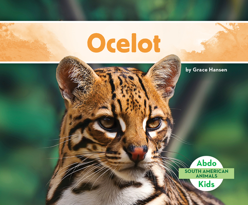 Ocelot (South American Animals) By Grace Hansen Cover Image