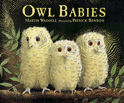 Owl Babies Big Book Cover Image