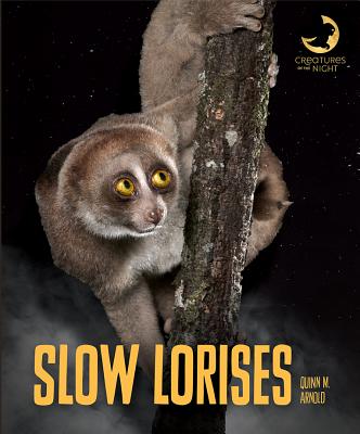 Slow Lorises (Creatures of the Night)