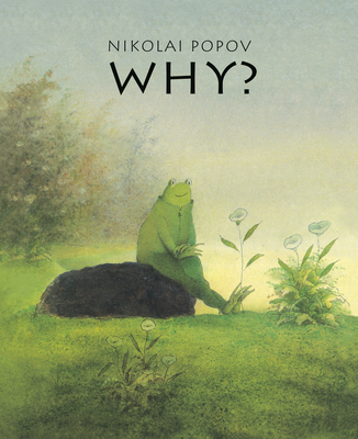 WHY?: A Timeless Story Told Without Words By Nikolai Popov Cover Image