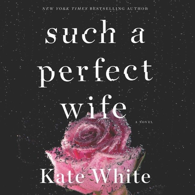 Such a Perfect Wife (Bailey Weggins Series)