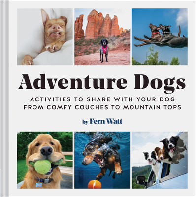 Adventure Dogs: Activities to Share with Your Dog—from Comfy Couches to Mountain Tops