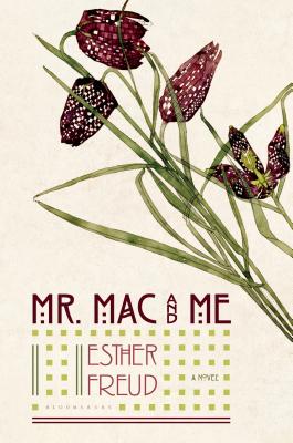 Cover for Mr. Mac and Me