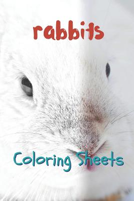 Rabbit Coloring Sheets: 30 Rabbit Drawings, Coloring Sheets Adults Relaxation, Coloring Book for Kids, for Girls, Volume 3 By Julian Smith Cover Image