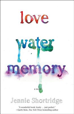 Cover Image for Love Water Memory: A Novel