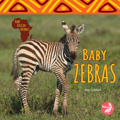 Baby Zebras (Baby African Animals) By Amy Culliford Cover Image