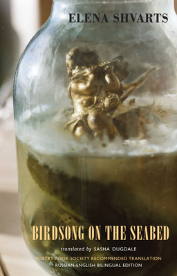 Cover for Birdsong on the Seabed