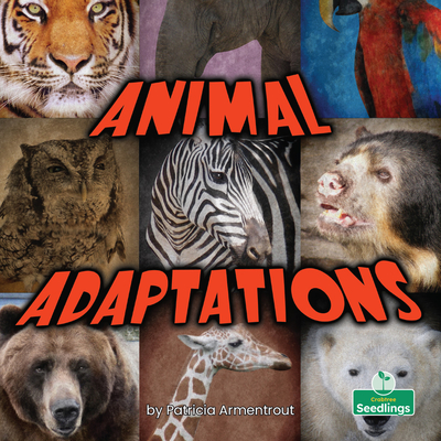 Animal Adaptations By Patricia Armentrout Cover Image