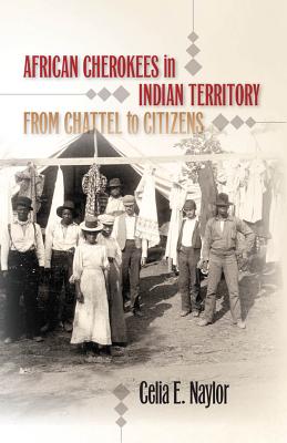 African Cherokees in Indian Territory: From Chattel to Citizens (The John Hope Franklin African American History and Culture)