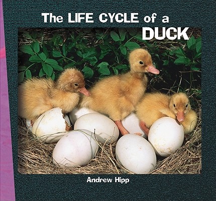 The Life Cycle of a Duck (How Things Grow)