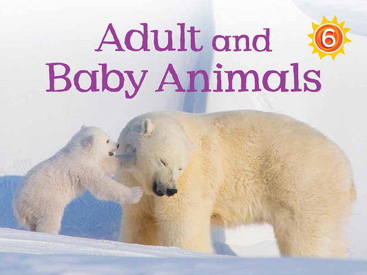 Adult and Baby Animals: English Edition By Kelly Ward Cover Image