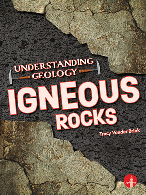 Igneous Rocks By Tracy Vonder Brink Cover Image