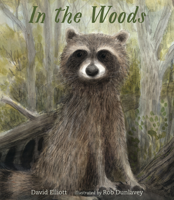 Cover for In the Woods