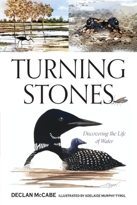 Turning Stones: Discovering the Life of Water Cover Image